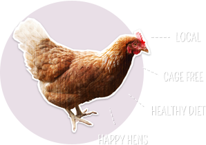 Vitala Eggs