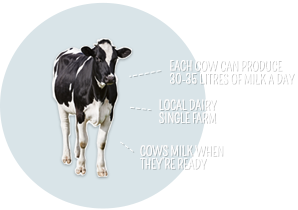 Vitala Milk